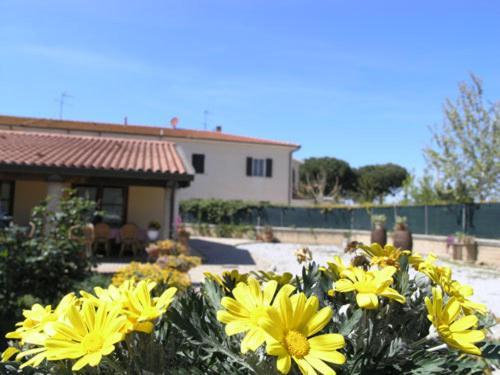 Agriturismo Podere San Michele San Vincenzo Extérieur photo